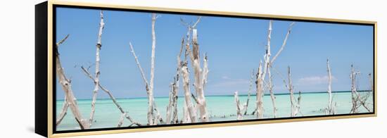 Cuba Fuerte Collection Panoramic - Ocean Wild Nature-Philippe Hugonnard-Framed Stretched Canvas