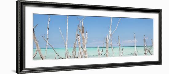 Cuba Fuerte Collection Panoramic - Ocean Wild Nature-Philippe Hugonnard-Framed Photographic Print