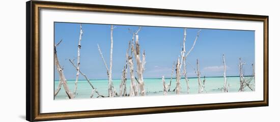 Cuba Fuerte Collection Panoramic - Ocean Wild Nature-Philippe Hugonnard-Framed Photographic Print