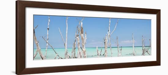 Cuba Fuerte Collection Panoramic - Ocean Wild Nature-Philippe Hugonnard-Framed Photographic Print
