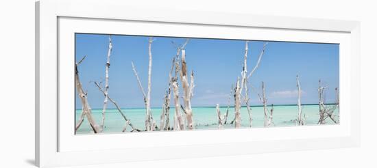 Cuba Fuerte Collection Panoramic - Ocean Wild Nature-Philippe Hugonnard-Framed Photographic Print