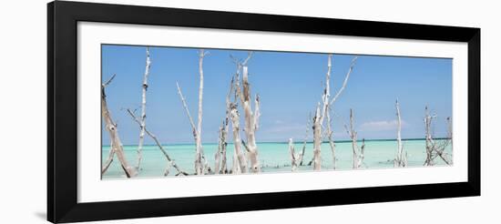 Cuba Fuerte Collection Panoramic - Ocean Wild Nature-Philippe Hugonnard-Framed Photographic Print