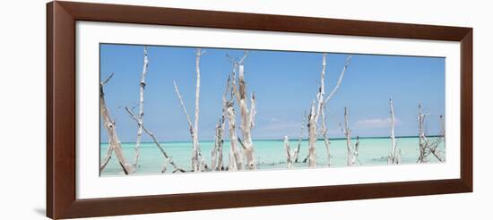 Cuba Fuerte Collection Panoramic - Ocean Wild Nature-Philippe Hugonnard-Framed Photographic Print