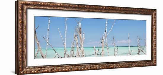 Cuba Fuerte Collection Panoramic - Ocean Wild Nature-Philippe Hugonnard-Framed Photographic Print