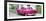 Cuba Fuerte Collection Panoramic - Pink Taxi Pontiac 1953-Philippe Hugonnard-Framed Photographic Print