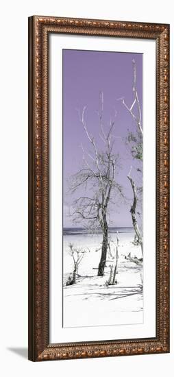 Cuba Fuerte Collection Panoramic - Plum Summer-Philippe Hugonnard-Framed Photographic Print