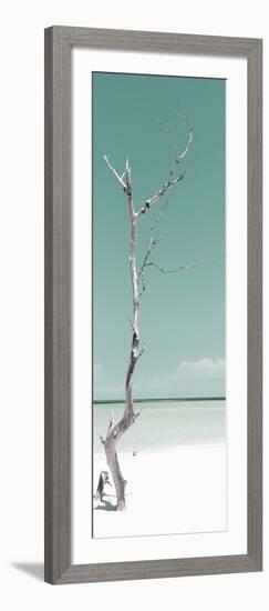 Cuba Fuerte Collection Panoramic - Solitary Tree - Pastel Coral Green-Philippe Hugonnard-Framed Photographic Print