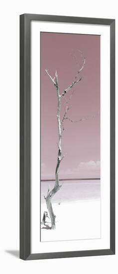 Cuba Fuerte Collection Panoramic - Solitary Tree - Pastel Red-Philippe Hugonnard-Framed Photographic Print