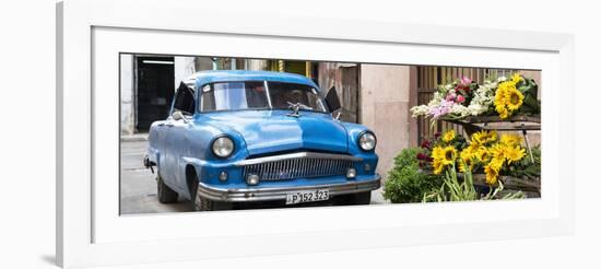 Cuba Fuerte Collection Panoramic - Sunflowers and Classic Car-Philippe Hugonnard-Framed Photographic Print