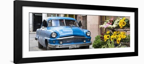 Cuba Fuerte Collection Panoramic - Sunflowers and Classic Car-Philippe Hugonnard-Framed Photographic Print