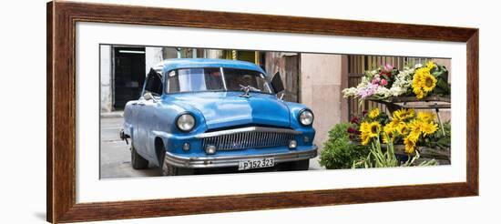 Cuba Fuerte Collection Panoramic - Sunflowers and Classic Car-Philippe Hugonnard-Framed Photographic Print