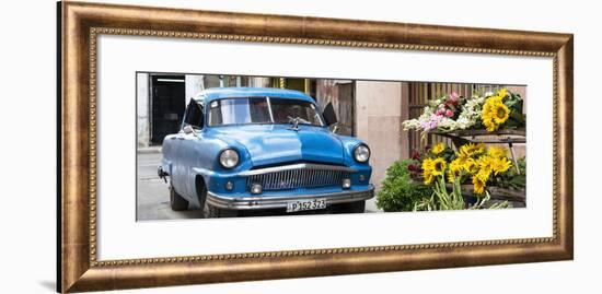 Cuba Fuerte Collection Panoramic - Sunflowers and Classic Car-Philippe Hugonnard-Framed Photographic Print