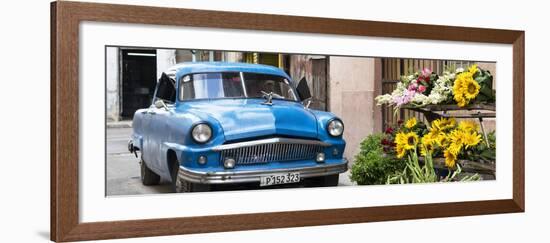 Cuba Fuerte Collection Panoramic - Sunflowers and Classic Car-Philippe Hugonnard-Framed Photographic Print