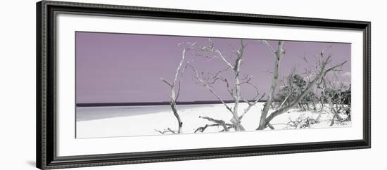 Cuba Fuerte Collection Panoramic - Tropical Beach Nature - Pastel Purple-Philippe Hugonnard-Framed Photographic Print