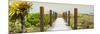 Cuba Fuerte Collection Panoramic - Wild Beach Jetty at Sunset-Philippe Hugonnard-Mounted Photographic Print