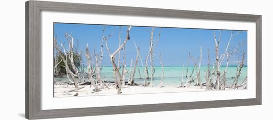 Cuba Fuerte Collection Panoramic - Wild Beach-Philippe Hugonnard-Framed Photographic Print