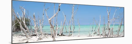 Cuba Fuerte Collection Panoramic - Wild Beach-Philippe Hugonnard-Mounted Photographic Print