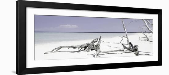 Cuba Fuerte Collection Panoramic - Wild Purple Lagoon-Philippe Hugonnard-Framed Photographic Print