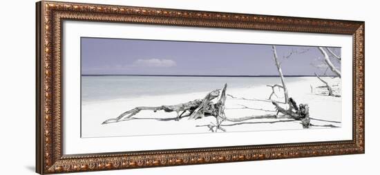 Cuba Fuerte Collection Panoramic - Wild Purple Lagoon-Philippe Hugonnard-Framed Photographic Print