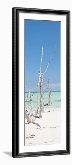 Cuba Fuerte Collection Panoramic - Wild White Sand Beach II-Philippe Hugonnard-Framed Photographic Print