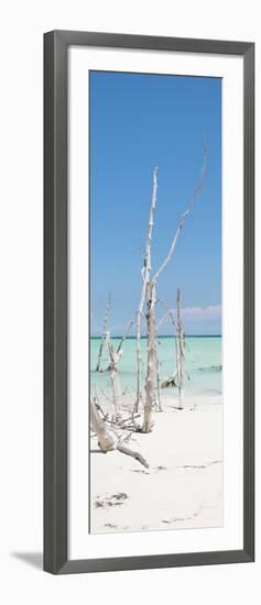 Cuba Fuerte Collection Panoramic - Wild White Sand Beach II-Philippe Hugonnard-Framed Photographic Print