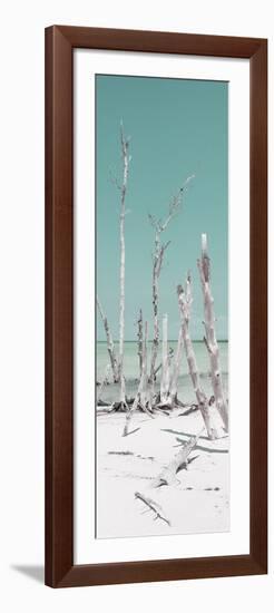 Cuba Fuerte Collection Panoramic - Wild White Sand Beach - Pastel Turquoise-Philippe Hugonnard-Framed Photographic Print