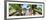 Cuba Fuerte Collection Panoramic - Wooden Jetty on the Beach-Philippe Hugonnard-Framed Photographic Print