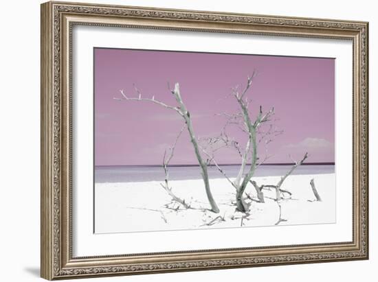 Cuba Fuerte Collection - Pink Stillness-Philippe Hugonnard-Framed Photographic Print