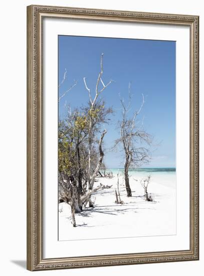 Cuba Fuerte Collection - Sandy Beach Pastel Blue II-Philippe Hugonnard-Framed Photographic Print