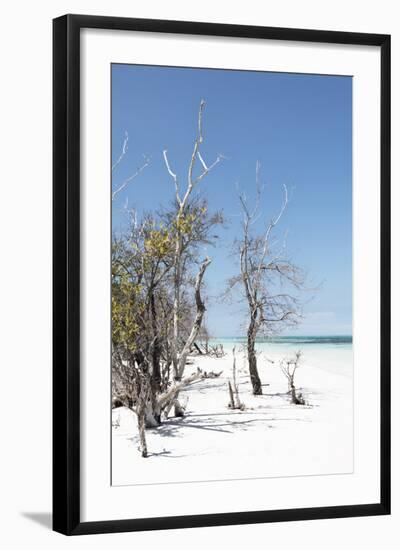 Cuba Fuerte Collection - Sandy Beach Pastel Blue II-Philippe Hugonnard-Framed Photographic Print