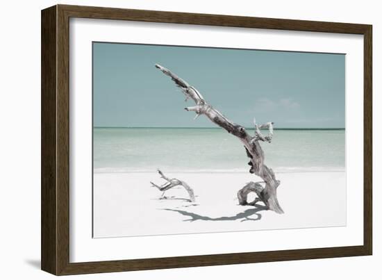 Cuba Fuerte Collection - Solitary Tree on the Beach - Pastel Aquamarine-Philippe Hugonnard-Framed Photographic Print