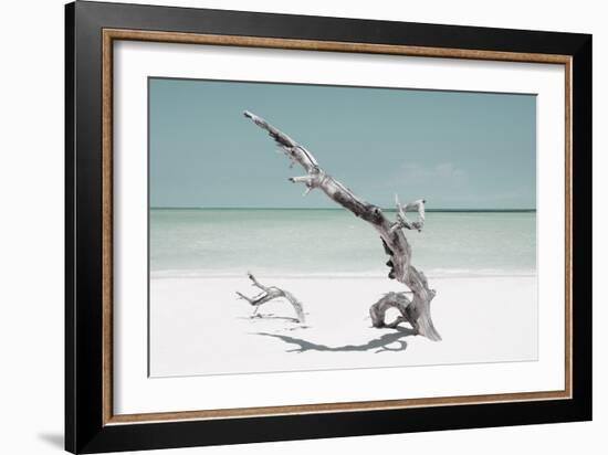 Cuba Fuerte Collection - Solitary Tree on the Beach - Pastel Aquamarine-Philippe Hugonnard-Framed Photographic Print