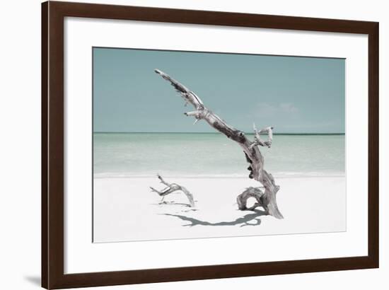 Cuba Fuerte Collection - Solitary Tree on the Beach - Pastel Aquamarine-Philippe Hugonnard-Framed Photographic Print