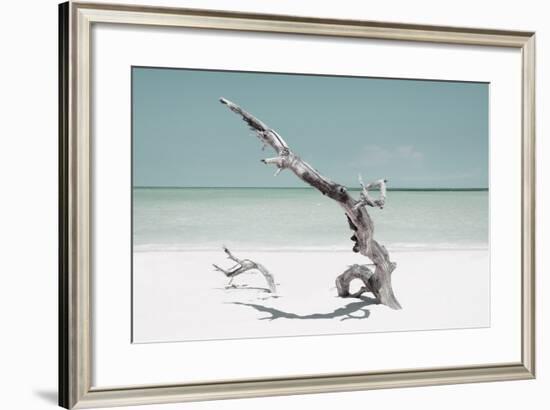 Cuba Fuerte Collection - Solitary Tree on the Beach - Pastel Aquamarine-Philippe Hugonnard-Framed Photographic Print