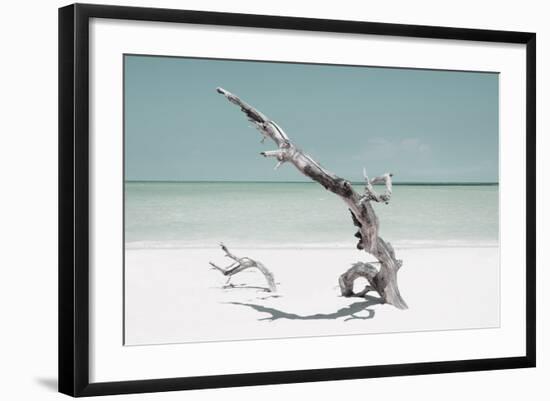 Cuba Fuerte Collection - Solitary Tree on the Beach - Pastel Aquamarine-Philippe Hugonnard-Framed Photographic Print
