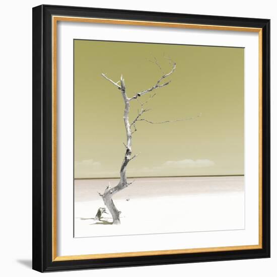 Cuba Fuerte Collection SQ - Alone on the White Sandy Beach - Pastel Yellow-Philippe Hugonnard-Framed Photographic Print