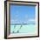 Cuba Fuerte Collection SQ - Aquatic Tree-Philippe Hugonnard-Framed Photographic Print