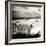 Cuba Fuerte Collection SQ BW - Old Classic Car Cabriolet-Philippe Hugonnard-Framed Photographic Print