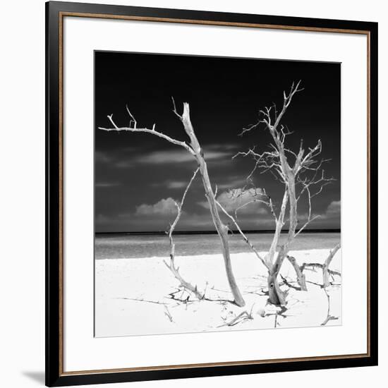 Cuba Fuerte Collection SQ BW - Stillness-Philippe Hugonnard-Framed Photographic Print