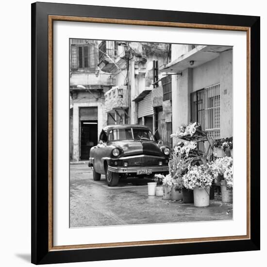 Cuba Fuerte Collection SQ BW - Sunflowers-Philippe Hugonnard-Framed Photographic Print