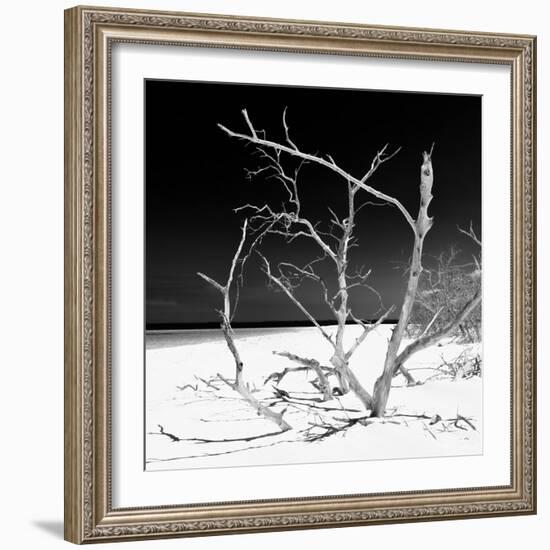 Cuba Fuerte Collection SQ BW - Tropical Beach Nature-Philippe Hugonnard-Framed Photographic Print