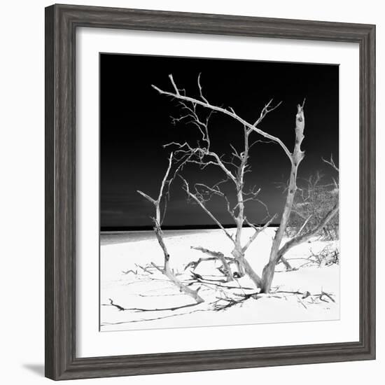 Cuba Fuerte Collection SQ BW - Tropical Beach Nature-Philippe Hugonnard-Framed Photographic Print