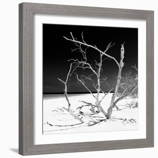 Cuba Fuerte Collection SQ BW - Tropical Beach Nature-Philippe Hugonnard-Framed Photographic Print