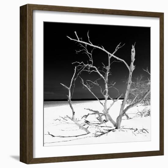 Cuba Fuerte Collection SQ BW - Tropical Beach Nature-Philippe Hugonnard-Framed Photographic Print