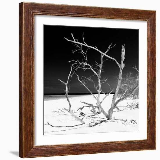 Cuba Fuerte Collection SQ BW - Tropical Beach Nature-Philippe Hugonnard-Framed Photographic Print