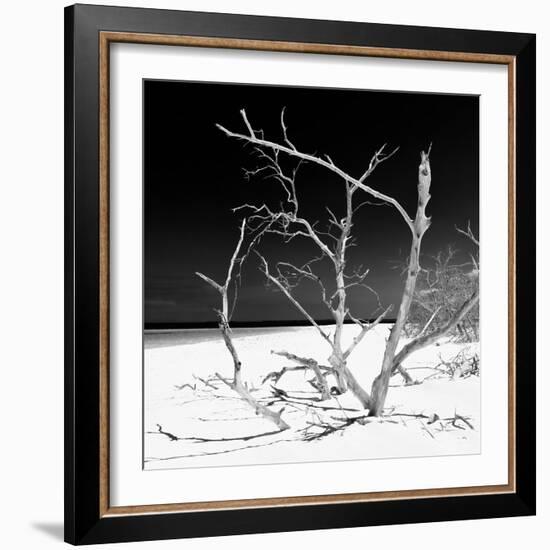 Cuba Fuerte Collection SQ BW - Tropical Beach Nature-Philippe Hugonnard-Framed Photographic Print