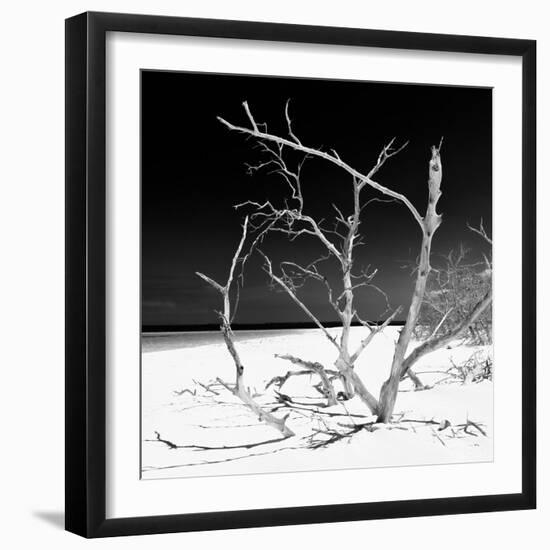 Cuba Fuerte Collection SQ BW - Tropical Beach Nature-Philippe Hugonnard-Framed Photographic Print