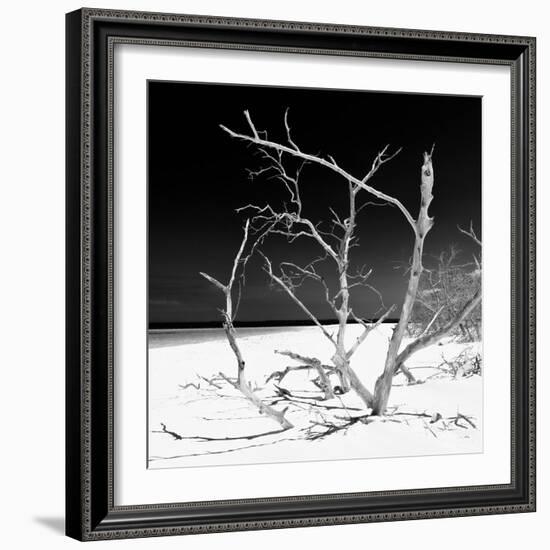 Cuba Fuerte Collection SQ BW - Tropical Beach Nature-Philippe Hugonnard-Framed Photographic Print