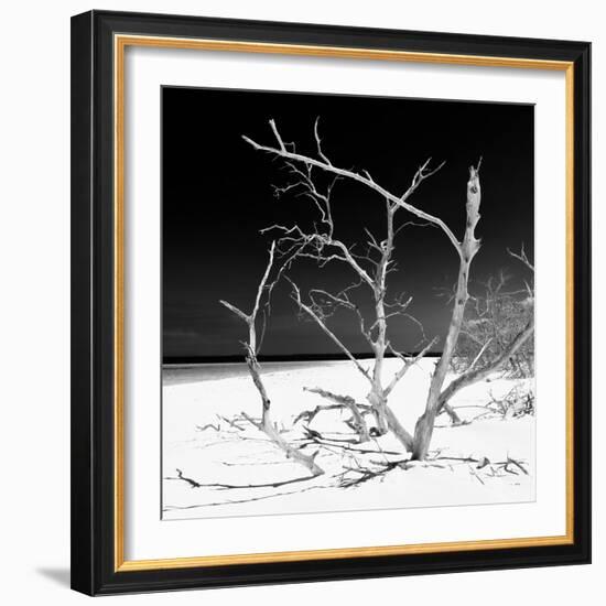 Cuba Fuerte Collection SQ BW - Tropical Beach Nature-Philippe Hugonnard-Framed Photographic Print