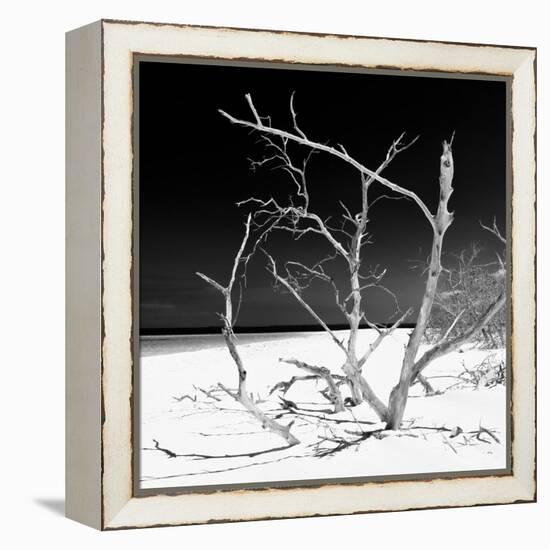 Cuba Fuerte Collection SQ BW - Tropical Beach Nature-Philippe Hugonnard-Framed Stretched Canvas